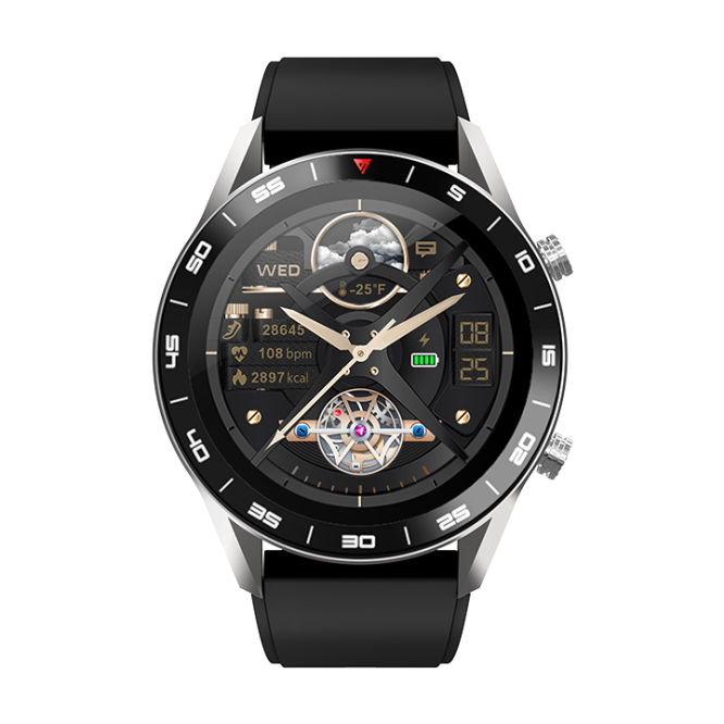 Basic Smartwatches Fortuner Pro 2
