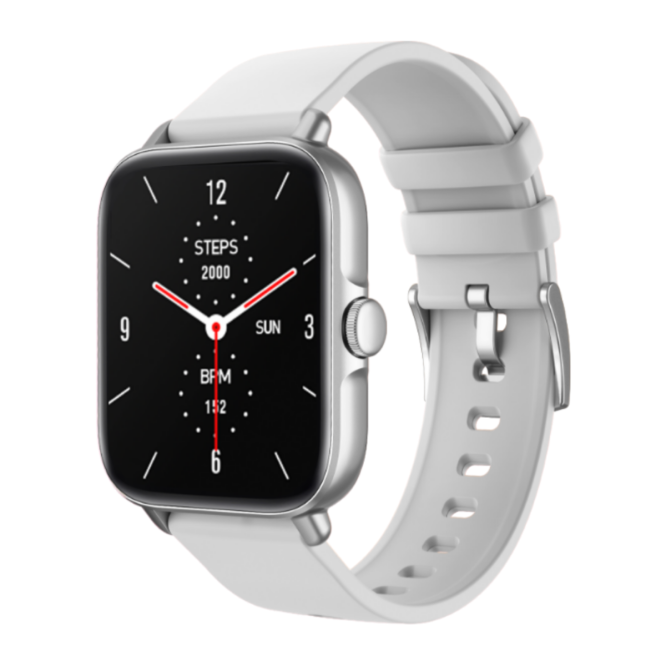 Basic Smartwatches WatchPro 13